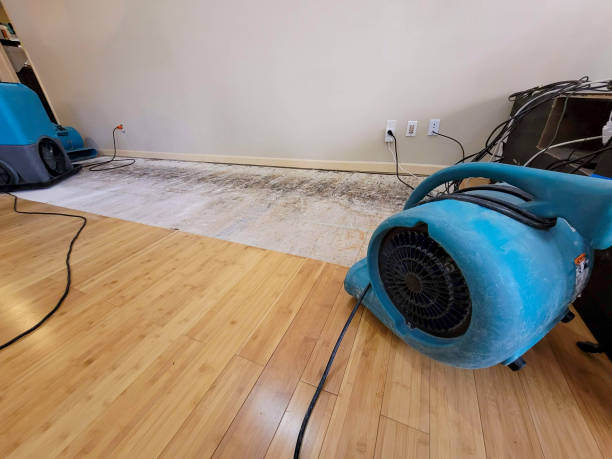 Professional Burst Pipe Water Damage technician working in Beulah, ND